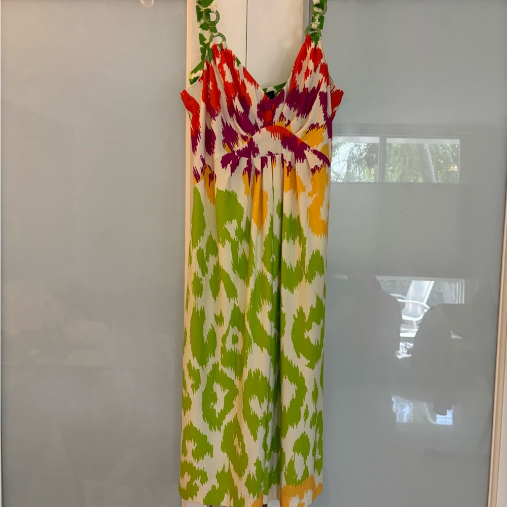 Alyn Paige Multicolor Dress